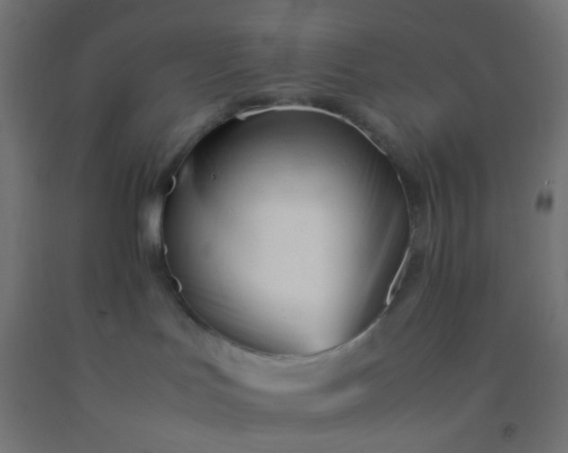 X0000092310047200709281355