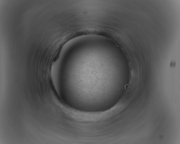 X0000092310048200709281355