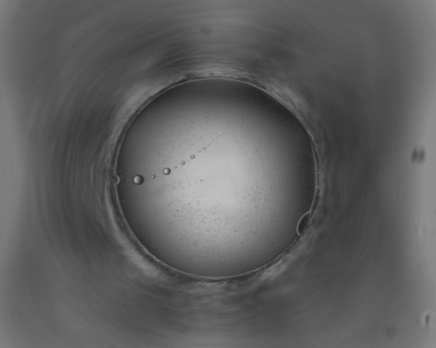 X0000092310049200709281354