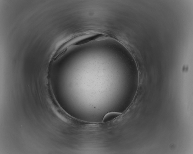 X0000092310050200709281354