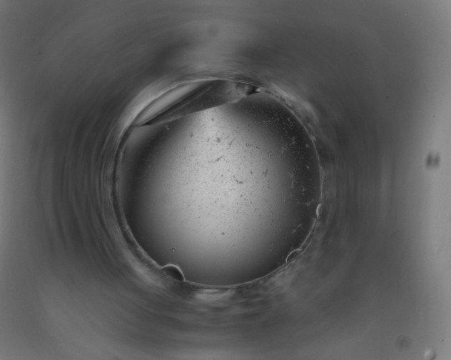 X0000092310051200709281354