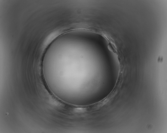 X0000092310053200709281354