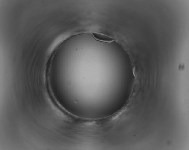 X0000092310054200709281354