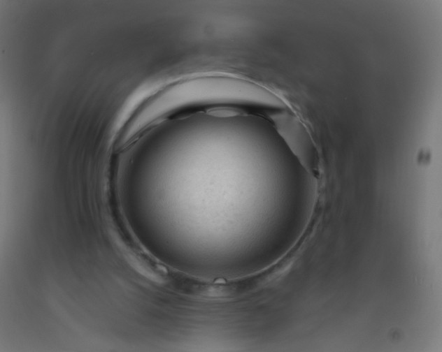 X0000092310056200709281354