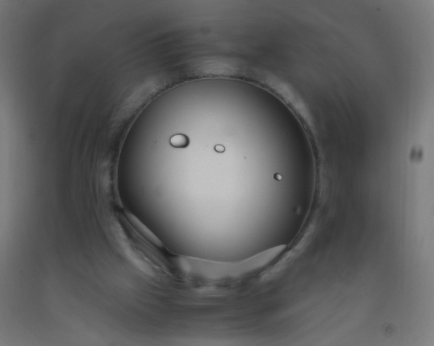 X0000092310057200709281354