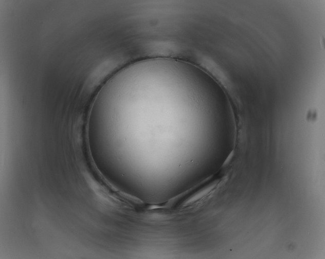 X0000092310058200709281354