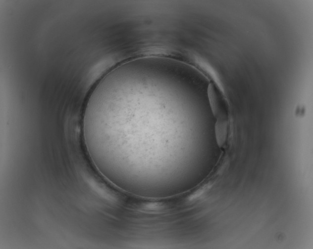 X0000092310059200709281354