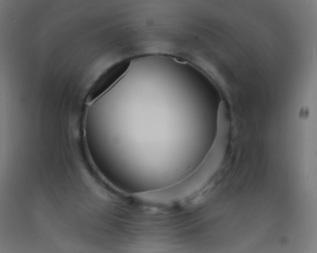 X0000092310060200709281354