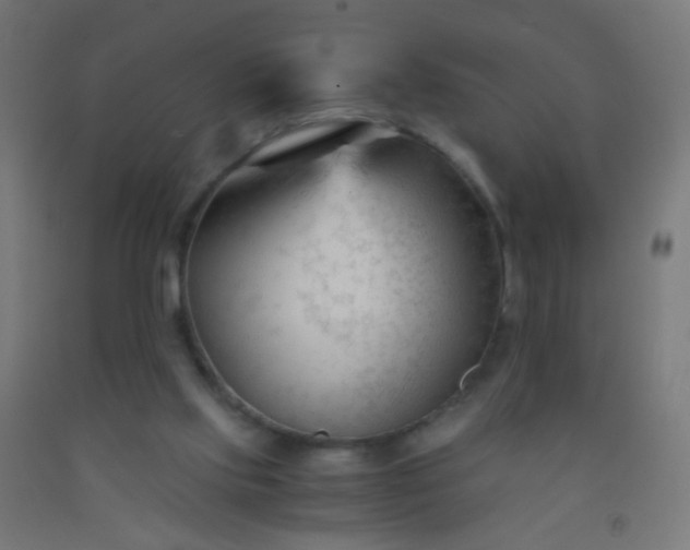 X0000092310061200709281354