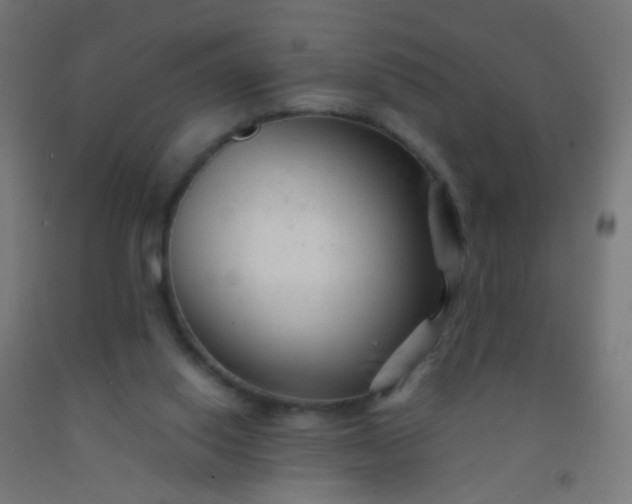 X0000092310062200709281354