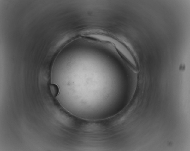 X0000092310063200709281354