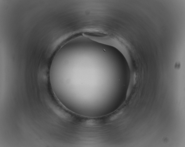 X0000092310064200709281354