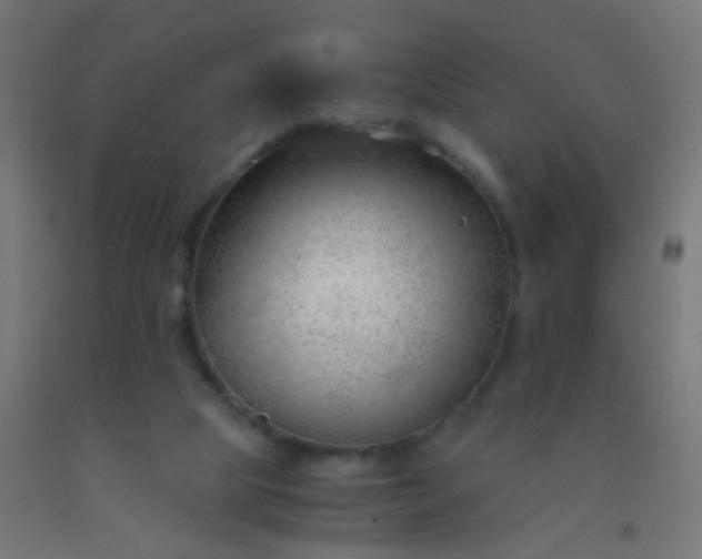 X0000092310065200709281354