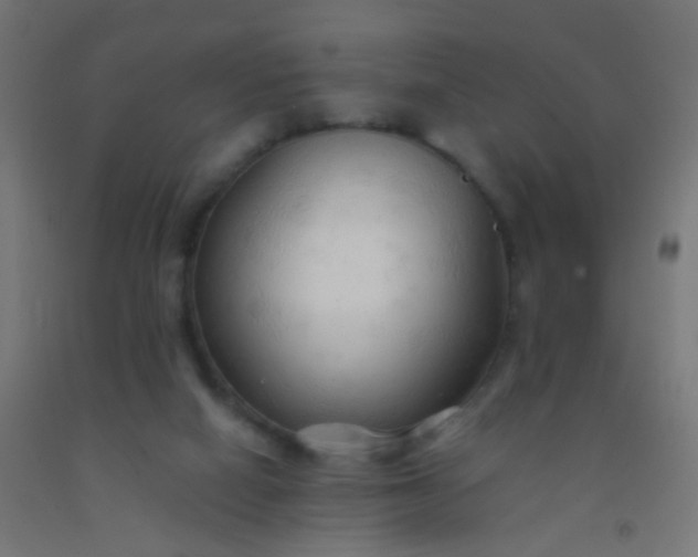 X0000092310066200709281354
