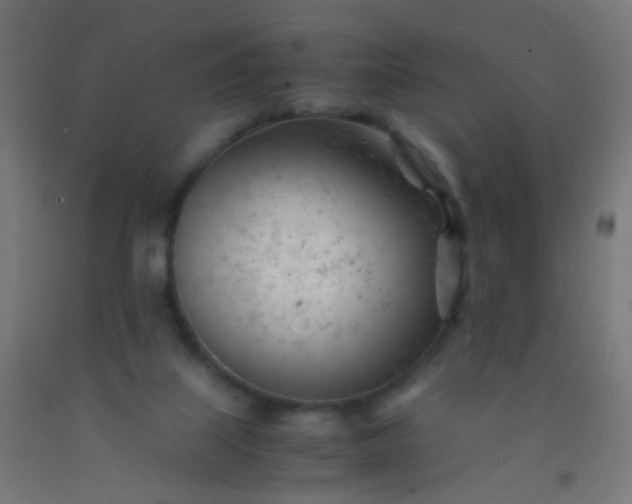 X0000092310067200709281354
