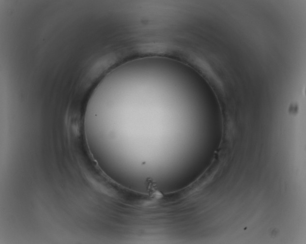 X0000092310068200709281354