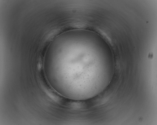 X0000092310069200709281354