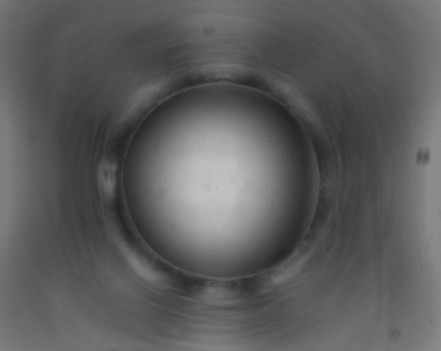 X0000092310070200709281354