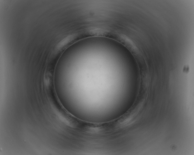 X0000092310071200709281354