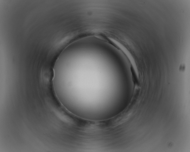 X0000092310072200709281354