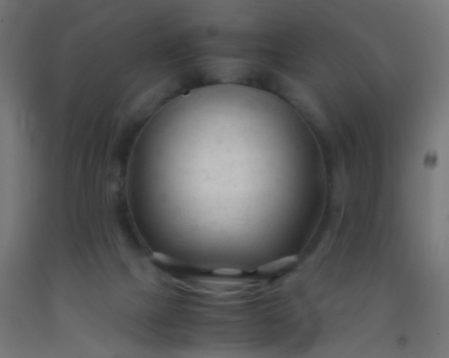 X0000092310073200709281354