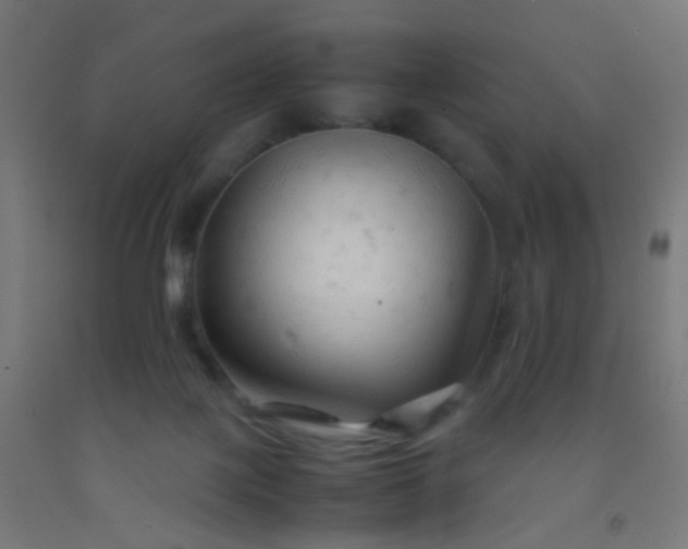X0000092310075200709281354