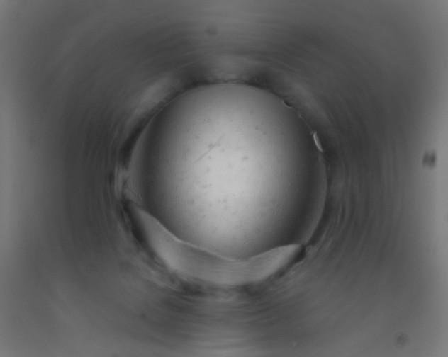 X0000092310076200709281354