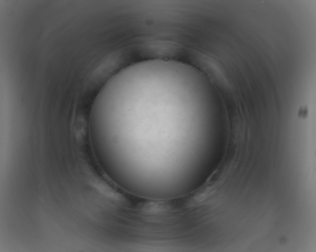 X0000092310077200709281354