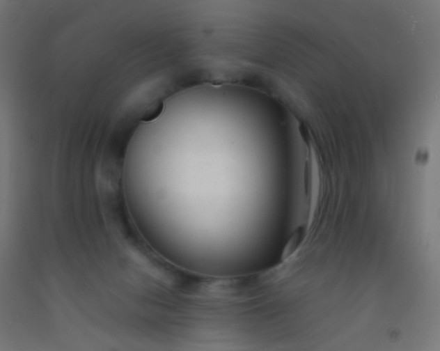 X0000092310078200709281354