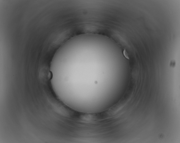 X0000092310079200709281354