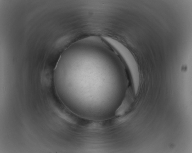 X0000092310080200709281354