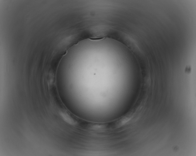 X0000092310081200709281354