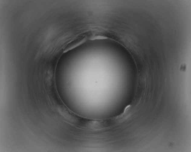 X0000092310082200709281354