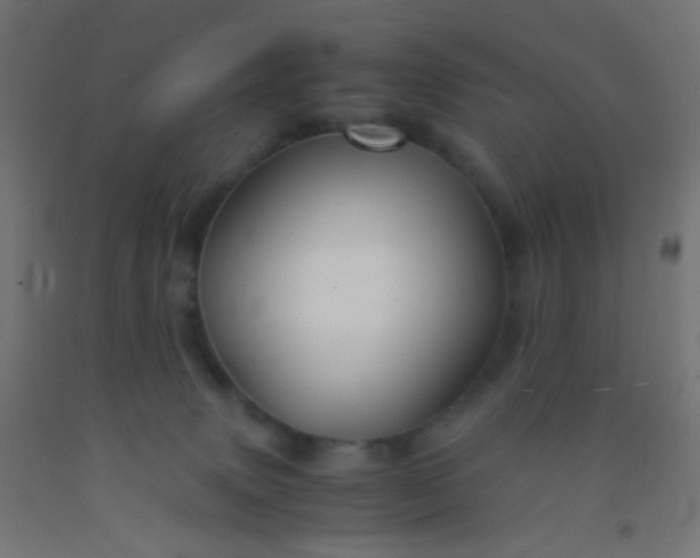 X0000092310083200709281354