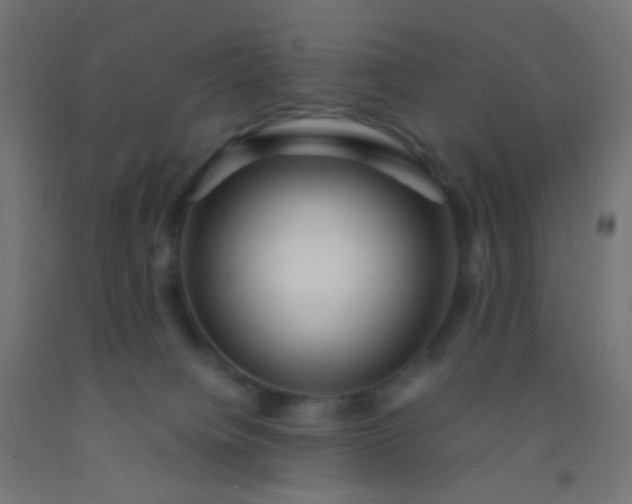 X0000092310084200709281354