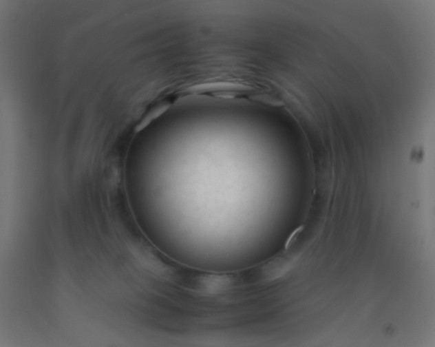 X0000092310085200709281354