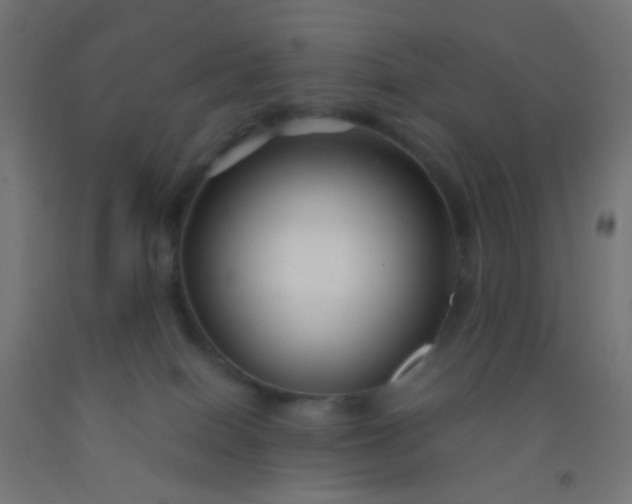 X0000092310086200709281354