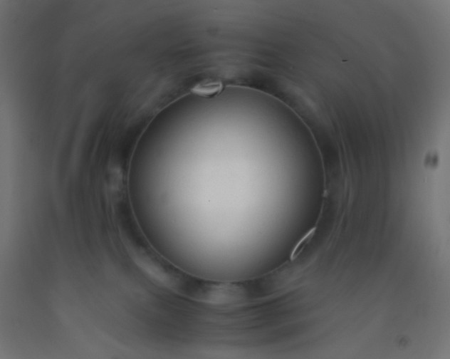 X0000092310087200709281354