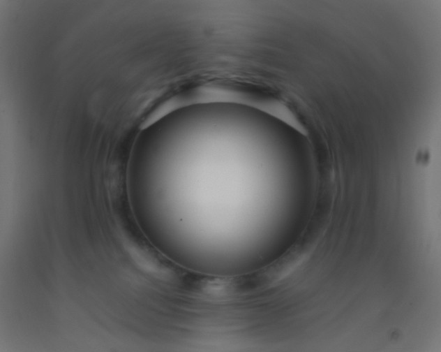 X0000092310088200709281354