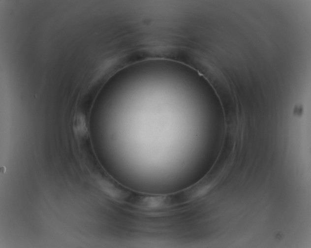 X0000092310089200709281354