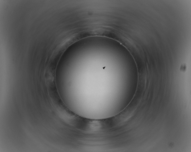 X0000092310091200709281355