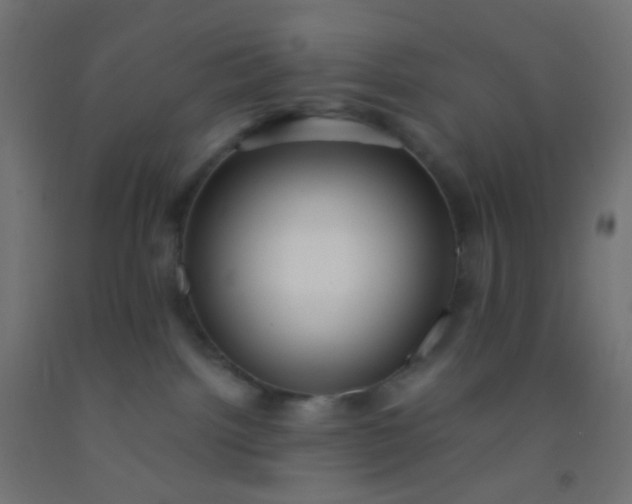 X0000092310092200709281355