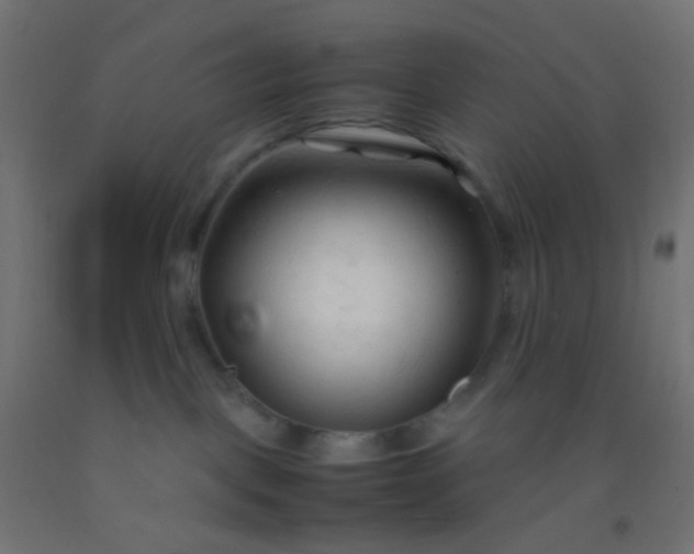 X0000092310093200709281355
