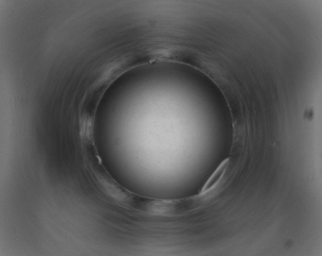 X0000092310094200709281355