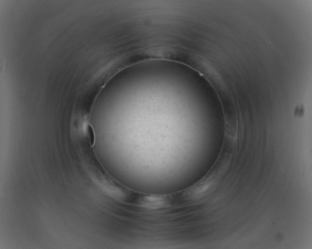 X0000092310095200709281355