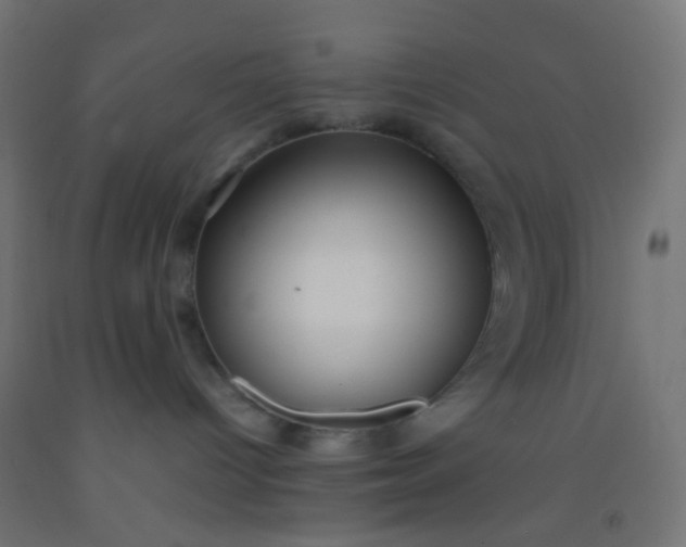 X0000092310096200709281355