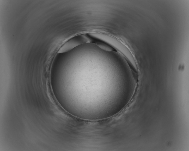 X0000092310097200709281354