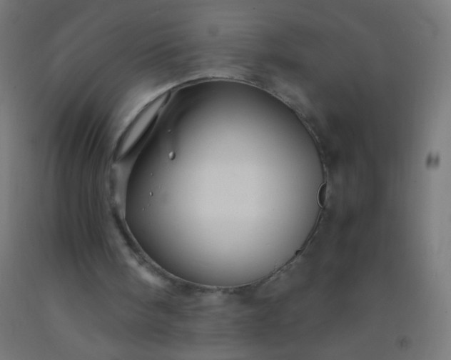 X0000092310098200709281354