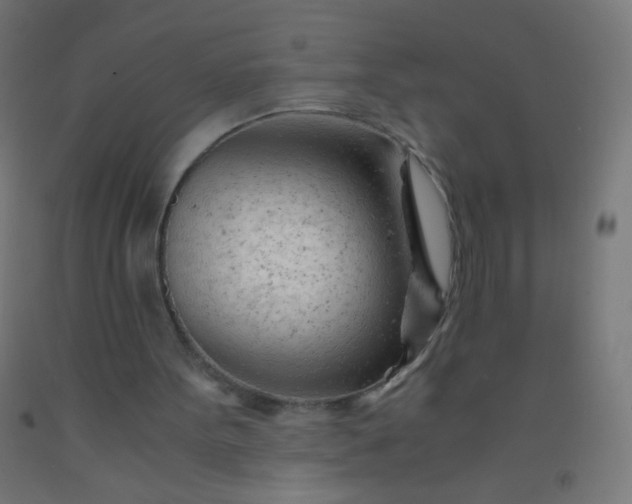 X0000092310099200709281354