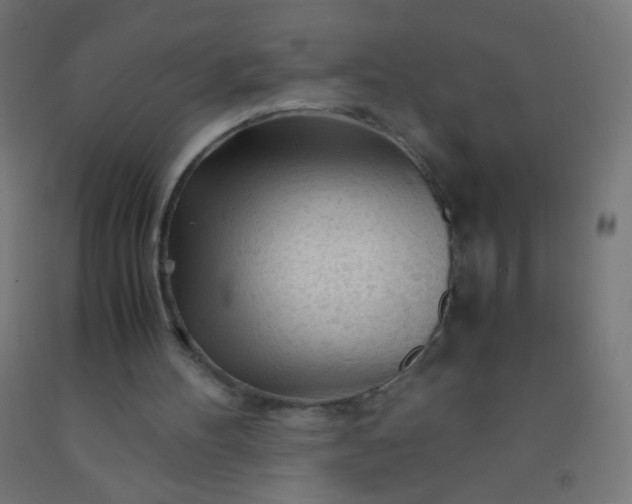 X0000092310100200709281354